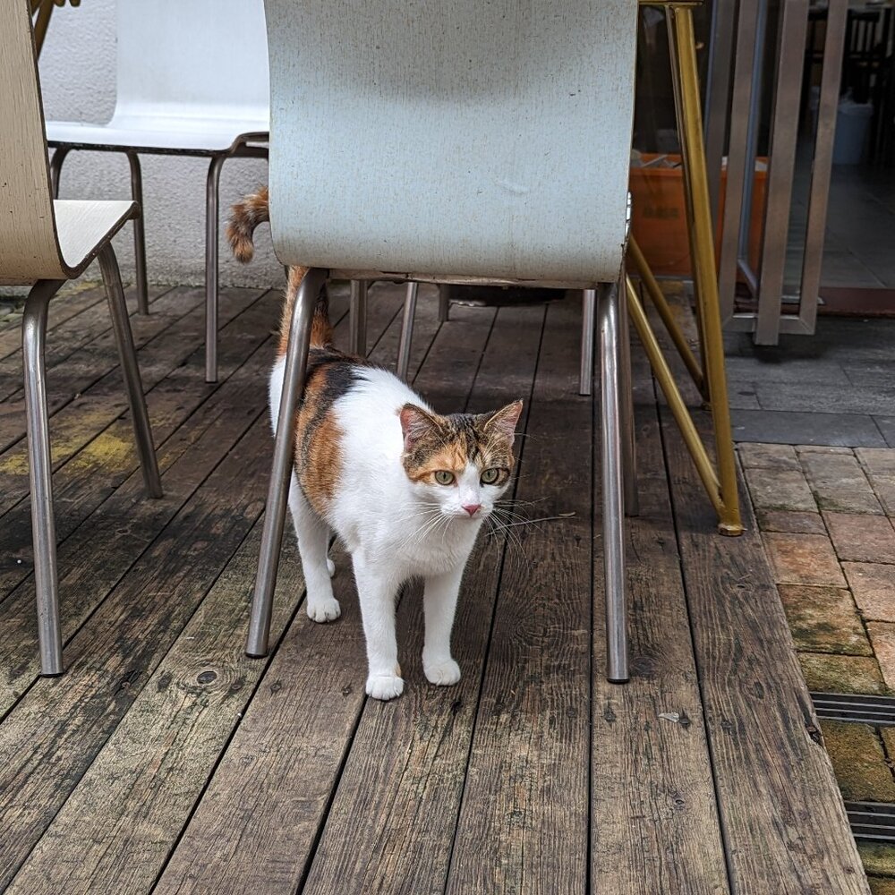 Meet your Posher, Danielle